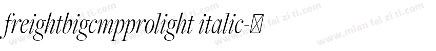 freightbigcmpprolight italic字体转换